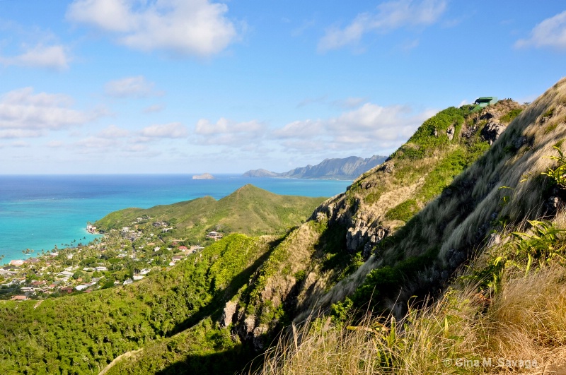 Lanikai Pillbox