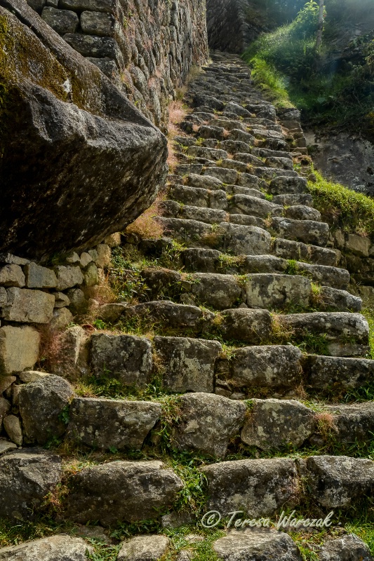 ancient steps