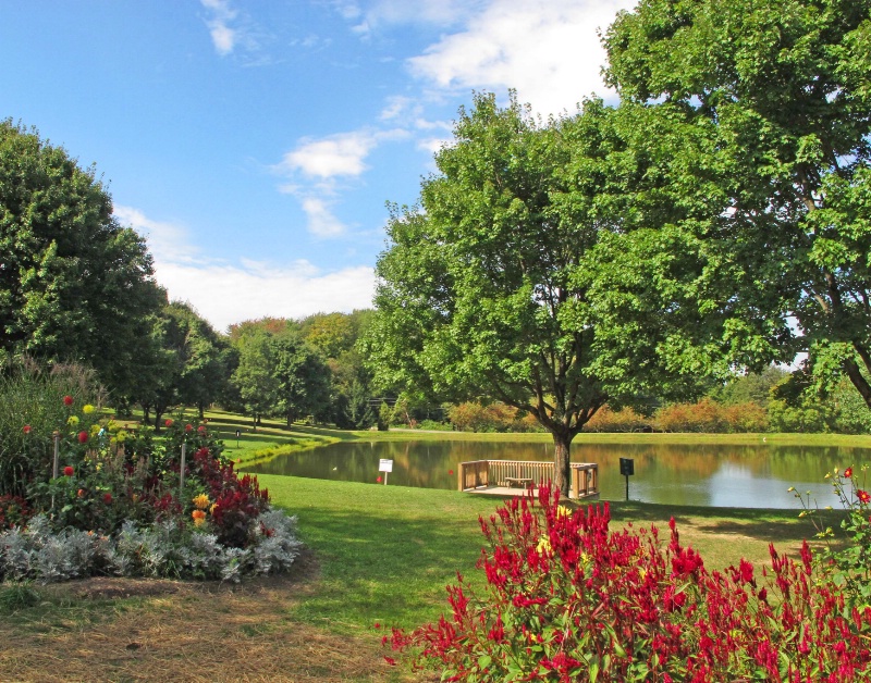 Pond View