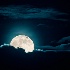 2"Blue Moon" - ID: 14120306 © Richard M. Waas