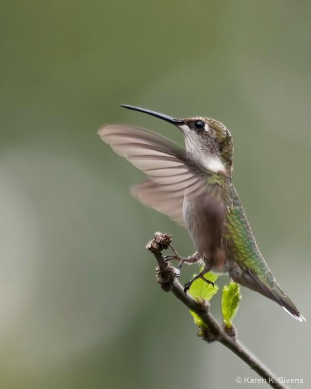 Graceful Landing