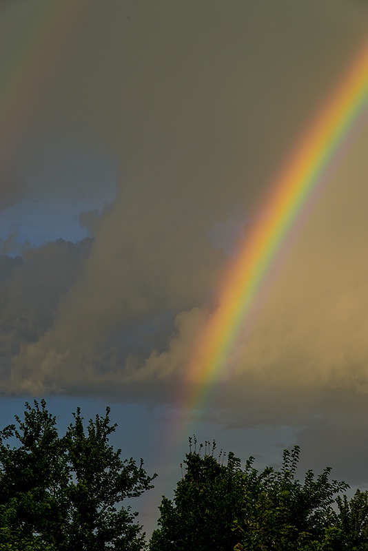 Morning Rainbow