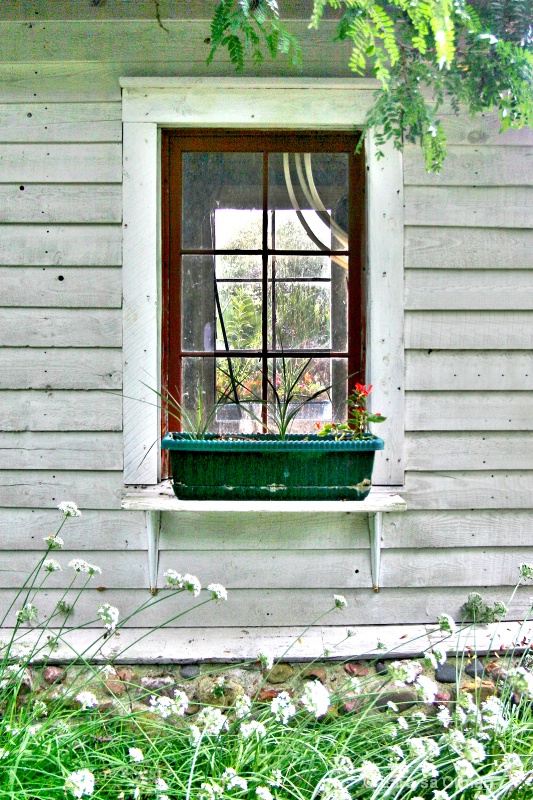 Through the Garden Window