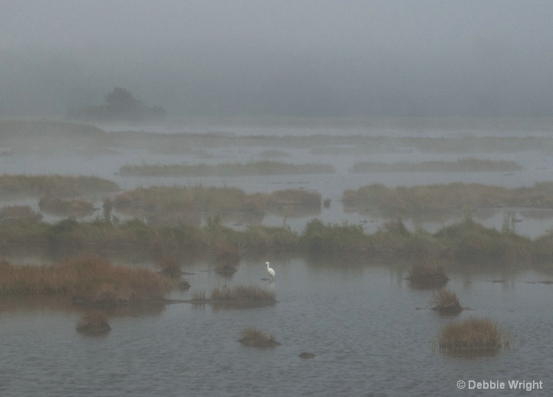 Foggy Marsh - ID: 14124867 © deb Wright