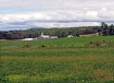 Pastoral Pennsylv...
