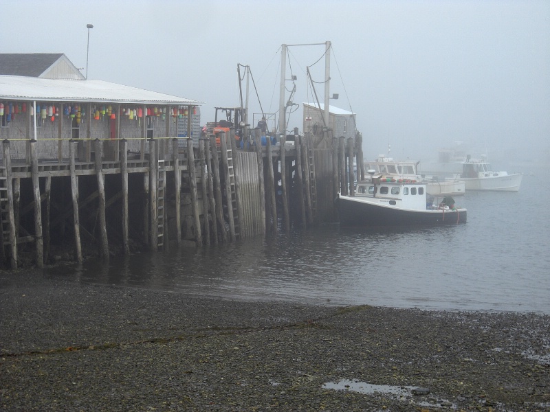 Owls Head Harbor, ME