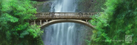 Bridge to Beyond