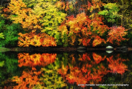 reflecting ice pond