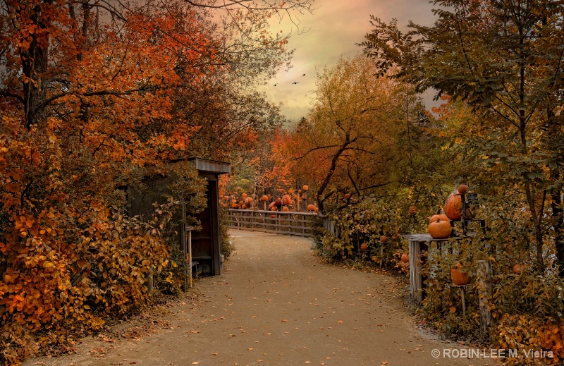 Jack-O-lantern Lane