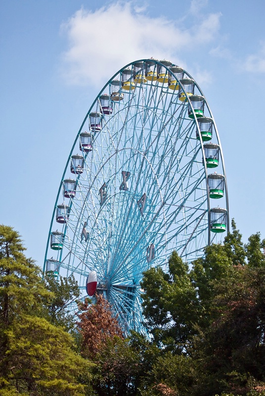 The Texas Star