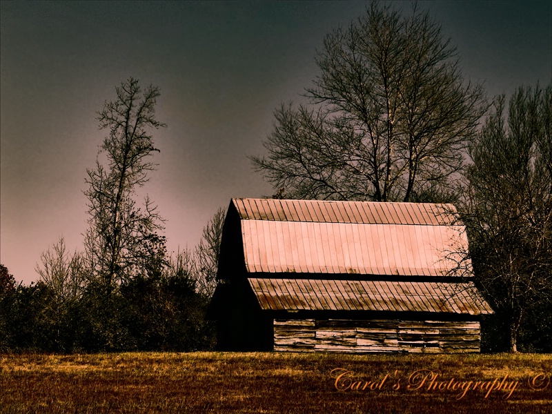 Tin Roof