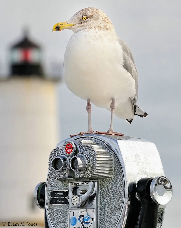 Tour Guide