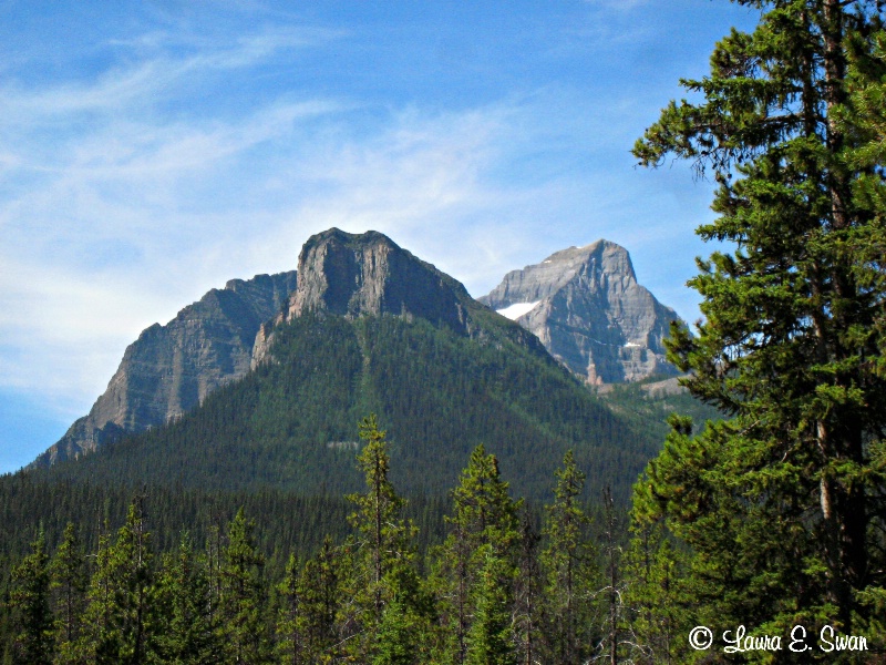 Campsite View