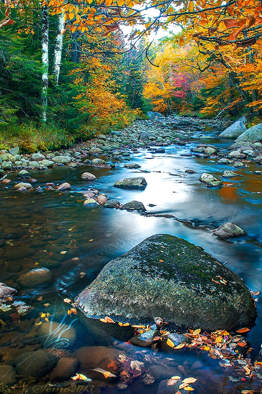 Autumn on the Moose River