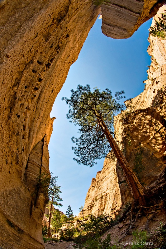 canyon at tent rocks national monument