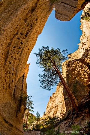 canyon at tent rocks national monument