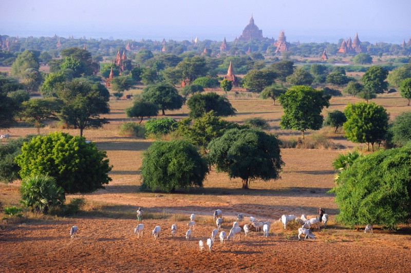 Scene of Bagan