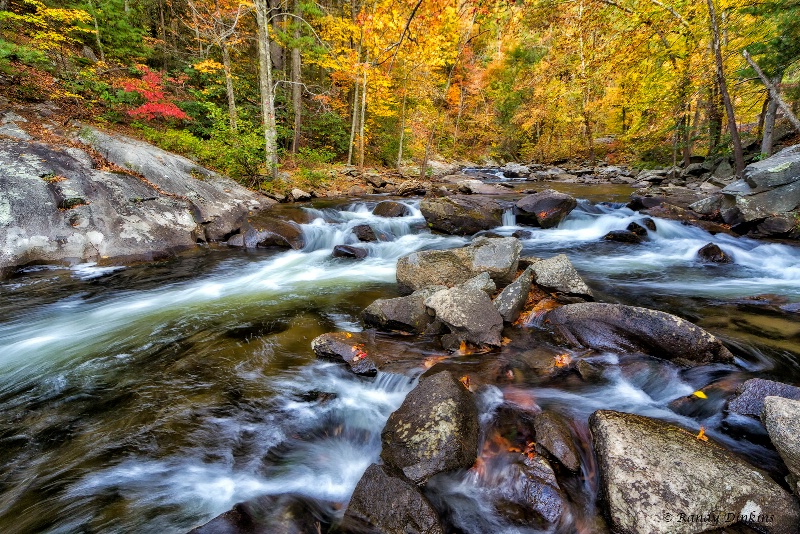 A Fall Morning on the Tellico