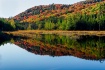 Reflections
