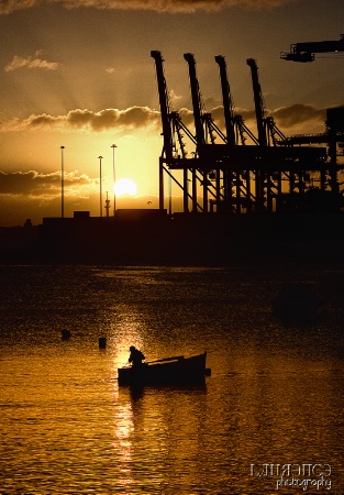 Indri - The Early Fisherman