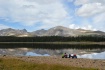 The beauty of fis...