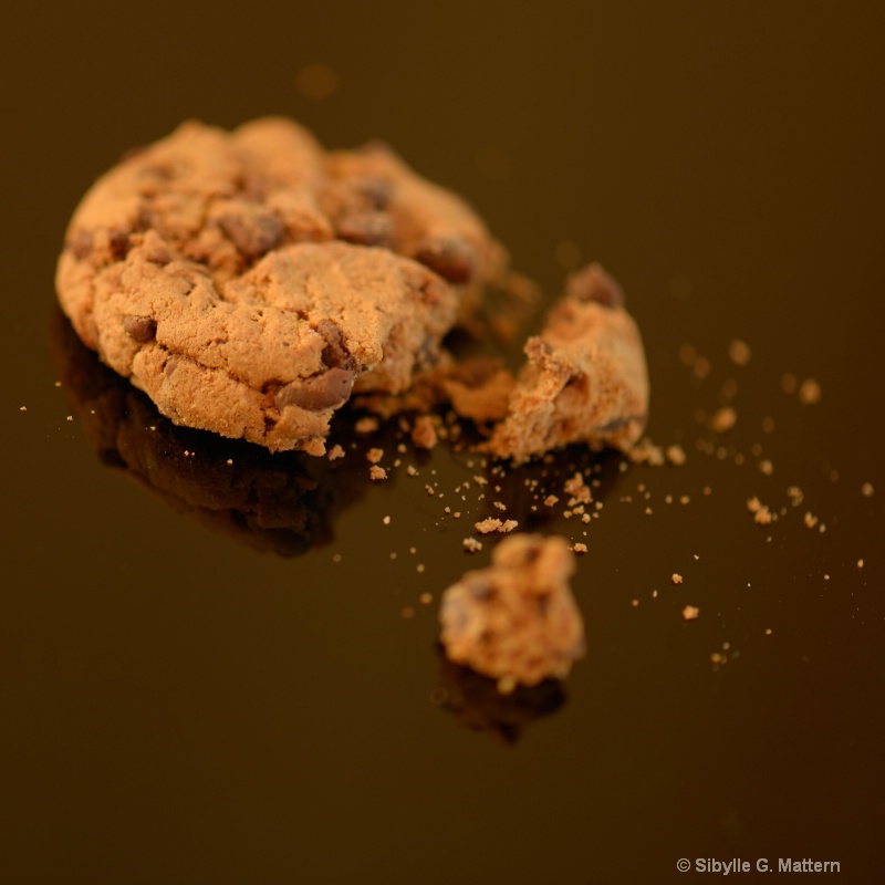 food series : not such a tough cookie - ID: 14148393 © Sibylle G. Mattern