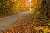 Site Nine Road