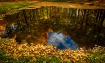 Get lost in natur...