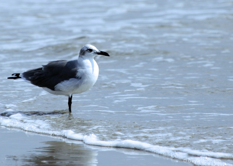 Watching the Waves