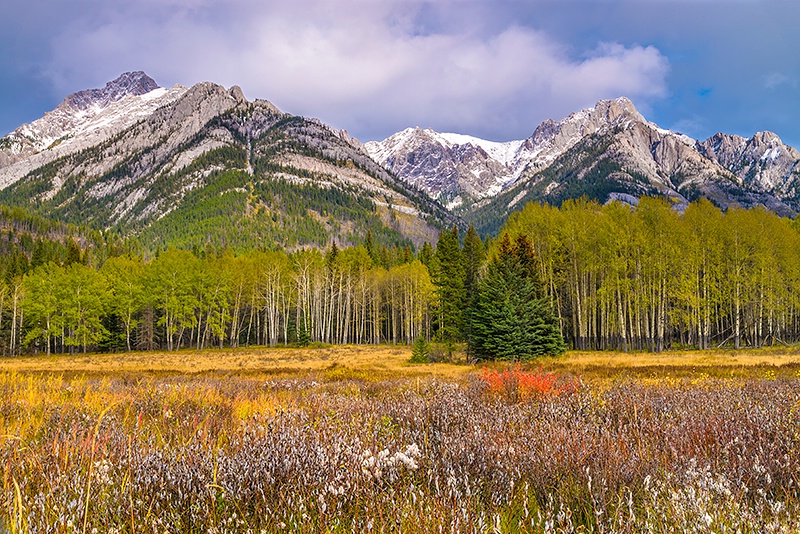 Colors Of The Canadian Rockies