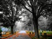 Colors of Fall