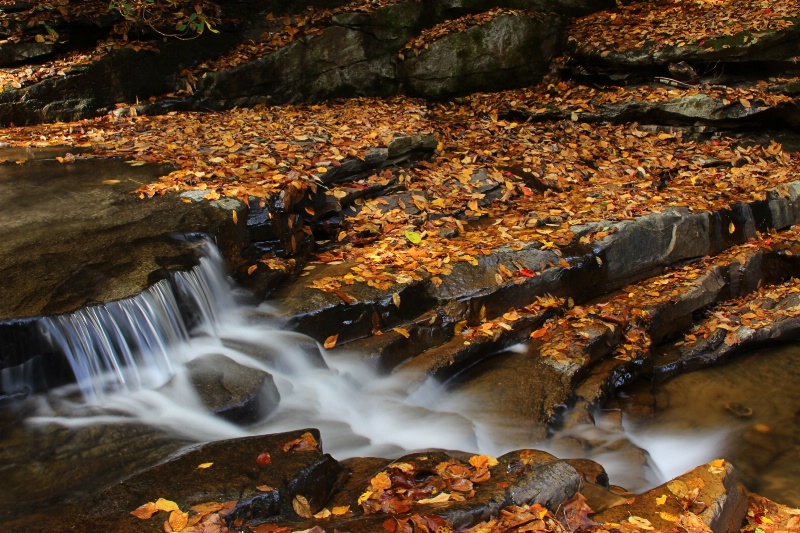 Autumn Stream - ID: 14168358 © Tammy M. Anderson