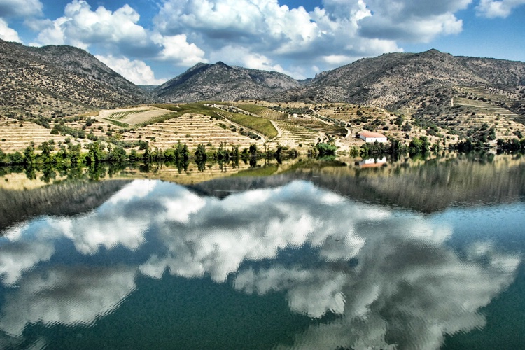 Douro Valley