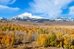Eastern Sierra