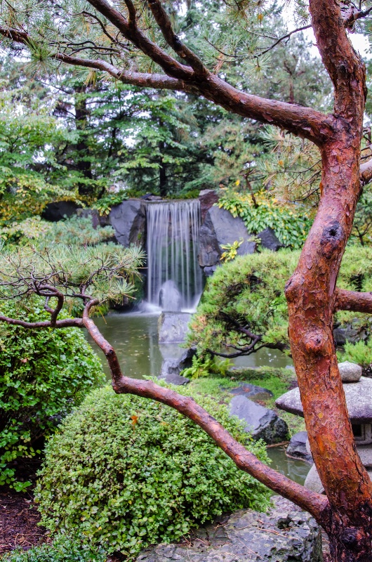 Japanese Garden waterfall