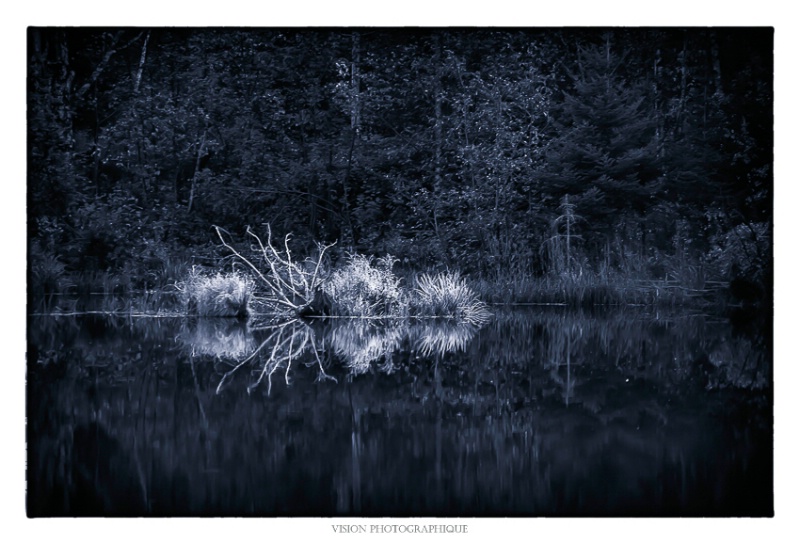 Across the lake