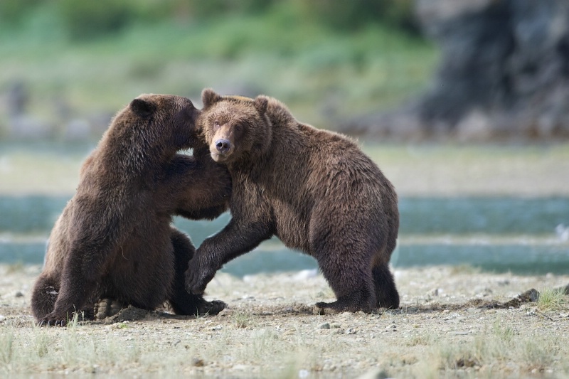 "Pssst...National Parks are Still Closed!"