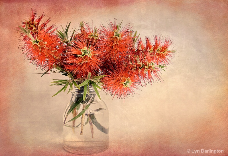 Bottle Brush.