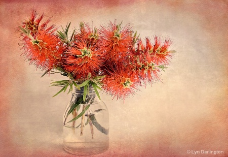 Bottle Brush.