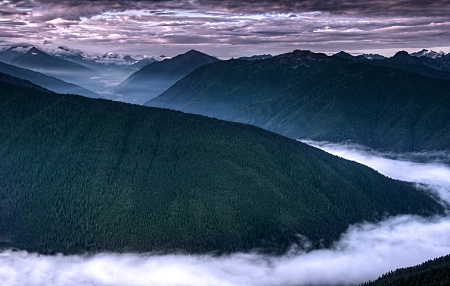 Olympic National Park at Dawn