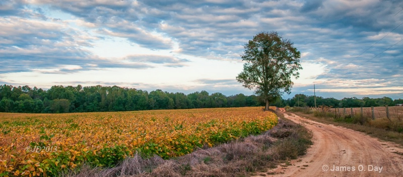 Cottage Road