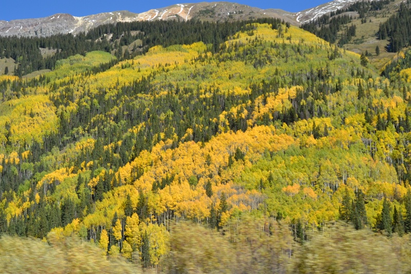 Colors of Colorado 