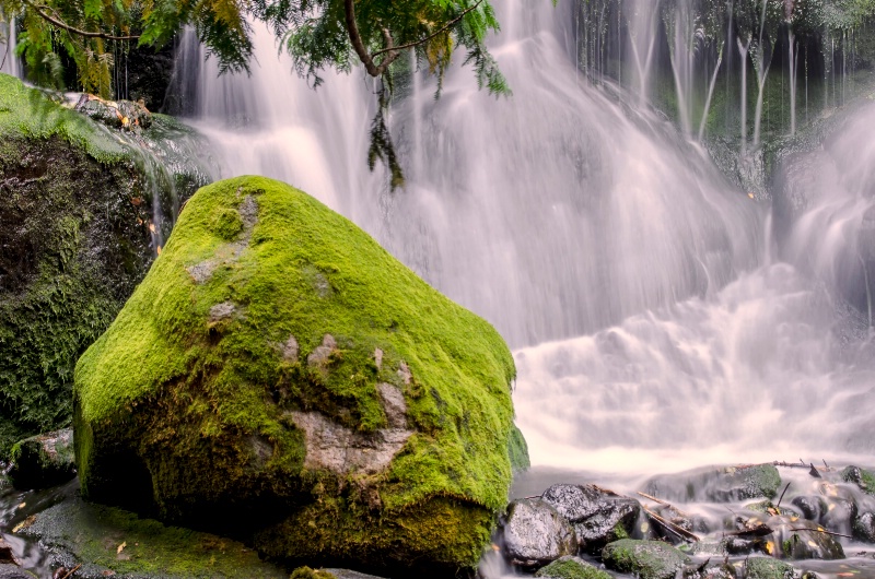 Mossy Rock