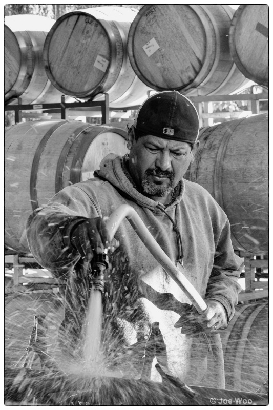 Vineyard Worker