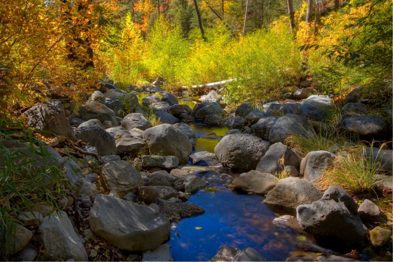 Oak Creek Canyon Color