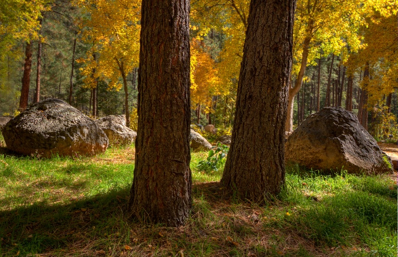 A Peek at Autumn's Color