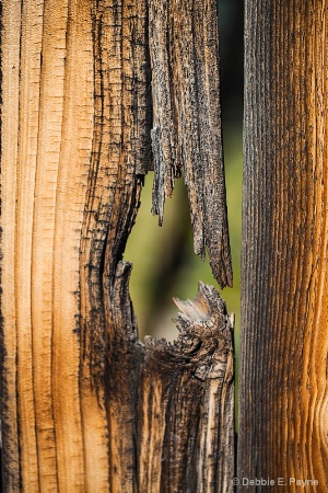 **THE OTHER SIDE BECKONS**