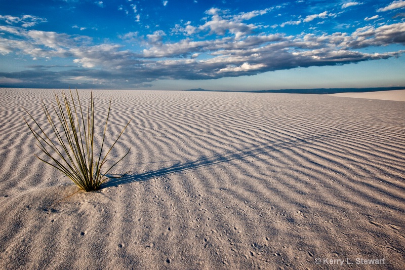 White Sands Shadows