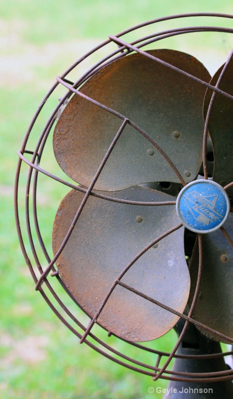 Old Fan