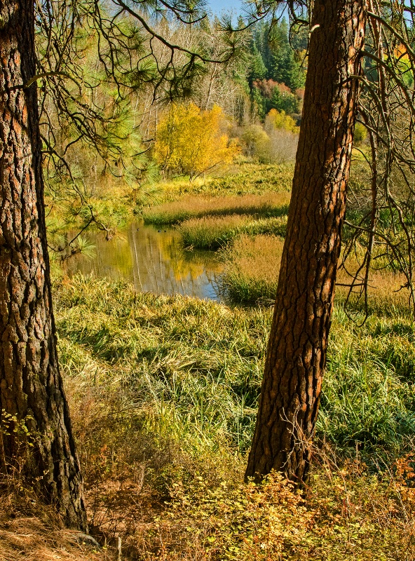 October Serenity on The Little Spokane